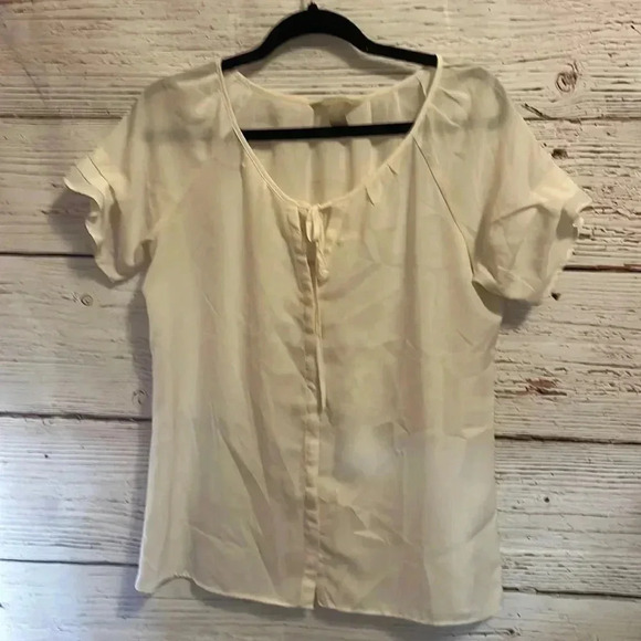 Banana Republic Sheer Blouse - Picture 1 of 4